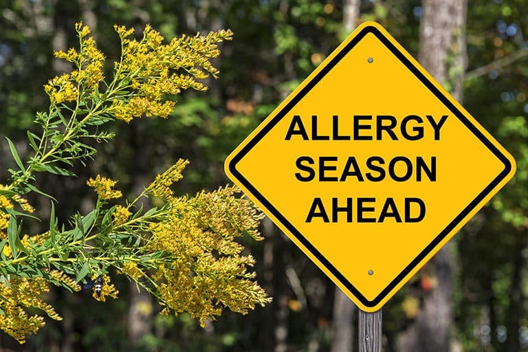 Overland Park Chiropractor for Seasonal Allergies